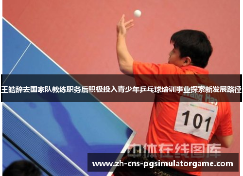 王皓辞去国家队教练职务后积极投入青少年乒乓球培训事业探索新发展路径